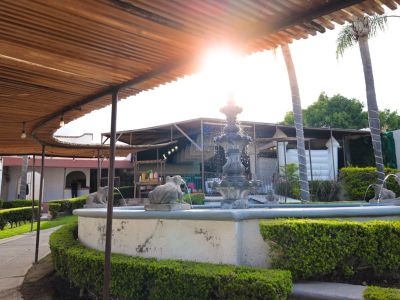 Quinta Las Ranas